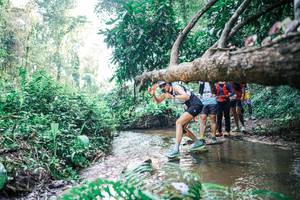 BIB: 
                            <button type="button" onclick="openModal(25456526)" class="btn btn-primary btn-sm float-right btn-popup" data-toggle="modal" data-target=".modal-high-quality">
                        <i class="fas fa-shopping-cart"></i> Add to Cart
                    </button>
                                            <button type="button" onclick="isThisMe(25456526, true)" class="btn btn-success btn-sm float-right btn-popup btn-isme hidden" data-toggle="tooltip" data-placement="bottom" title="นี่คือรูปของคุณใช่ไหม คลิกที่นี่เพื่อเอาเข้าอัลบั้ม">
                        <i class="fas fa-plus"></i> Add to album
                    </button>
                    <button type="button" onclick="isThisMe(25456526, false)" class="btn btn-warning btn-sm float-right btn-popup btn-isnotme hidden">
                        <i class="fas fa-ban"></i> Remove from album
                    </button>